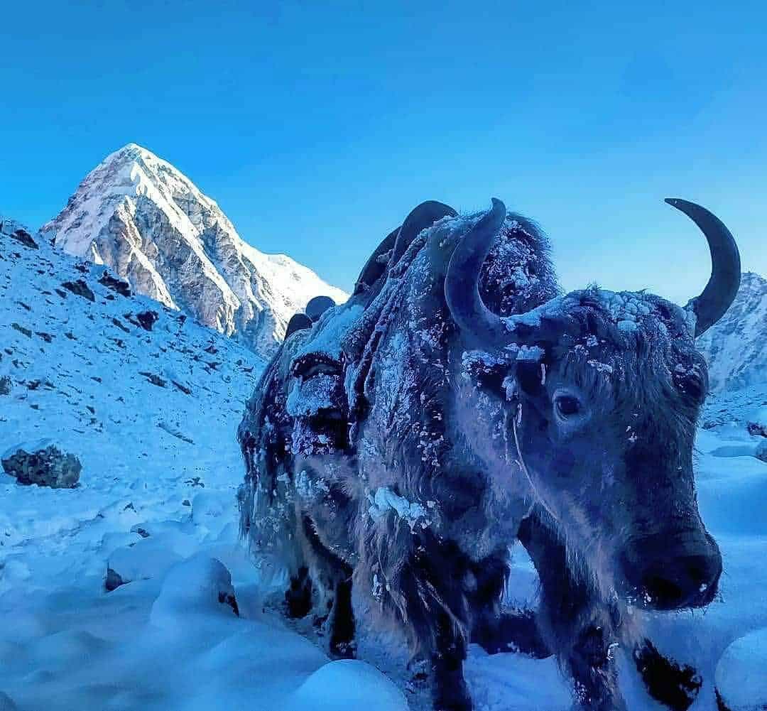 Winter seasons in Nepal